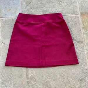 NWT Aline skirt with stretch fabric